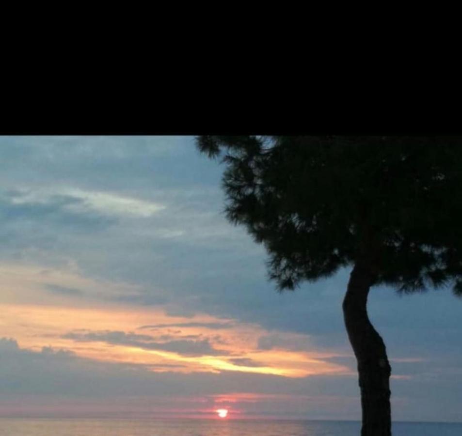 La Casa Al Mare Corallo Verde Montegiordano Εξωτερικό φωτογραφία