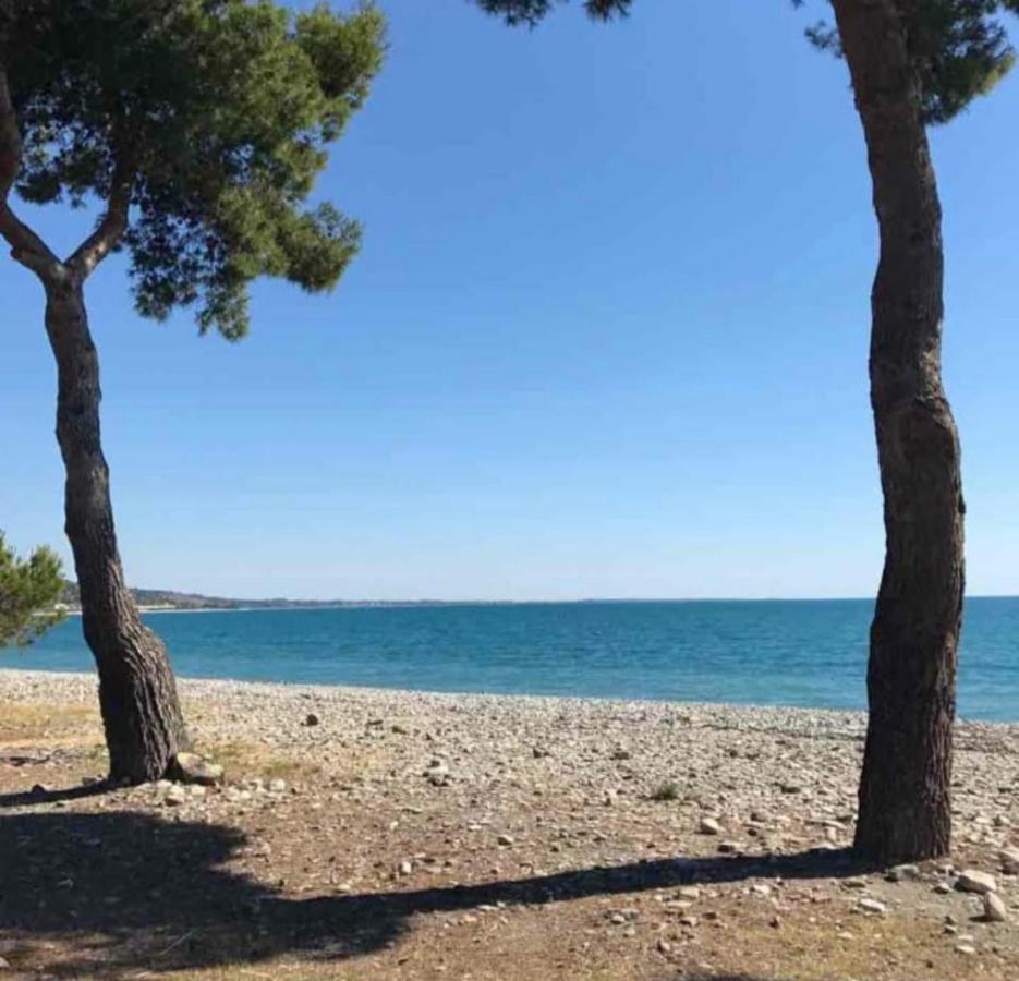 La Casa Al Mare Corallo Verde Montegiordano Εξωτερικό φωτογραφία